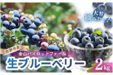 生果ブルーベリー　2㎏　旬 フルーツ 果物【knpr0007】