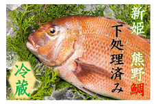 <テレビで紹介されました> 配送日指定可 新姫 熊野鯛 下処理済み 一匹 【冷蔵】 鯛 タイ 刺身 お刺身 さしみ 真空 海鮮 魚介 鮮魚 養殖  寿司 お寿司 塩釜焼き 塩焼き しゃぶしゃぶ 鯛しゃぶ お食い初め お祝い 祝い 水谷水産 三重県 熊野市【mzsi0001-1】