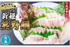 <テレビで紹介されました> 配送日指定可 新姫 熊野鯛 下処理済み 一匹 【冷蔵】 鯛 タイ 刺身 お刺身 さしみ 真空 海鮮 魚介 鮮魚 養殖  寿司 お寿司 塩釜焼き 塩焼き しゃぶしゃぶ 鯛しゃぶ お食い初め お祝い 祝い 水谷水産 三重県 熊野市【mzsi0001-1】
