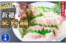 <テレビで紹介されました> 配送日指定可 新姫 熊野鯛 下処理済み 一匹 【冷凍】 鯛 タイ 刺身 お刺身 さしみ 真空 海鮮 魚介 鮮魚 養殖 寿司 お寿司 塩釜焼き 塩焼き しゃぶしゃぶ 鯛しゃぶ お食い初め お祝い 祝い 水谷水産 三重県 熊野市【mzsi0001-2】