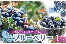 冷凍 ブルーベリー 1kg 急速冷凍 フルーツ 果物 くだもの スムージー ジャム 朝食 デザート 特産品 人気 国産 旬 金山パイロットファーム 三重県 熊野市【knpr0009】