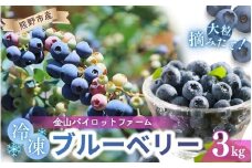 冷凍 ブルーベリー 3kg 急速冷凍 フルーツ 果物 くだもの スムージー ジャム 朝食 デザート 特産品 人気 国産 旬 金山パイロットファーム 三重県 熊野市【knpr0011】