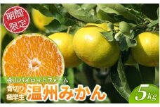 みかん 金山パイロットファームの 温州みかん 5㎏ 極早生(青切り)  みかん ミカン 温州みかん 極早生 極早生みかん フルーツ 果物 くだもの 柑橘 産地直送 数量限定 人気 国産 三重県 熊野市【knpr0012】