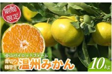 みかん 金山パイロットファームの 温州みかん 10㎏ 極早生(青切り) みかん ミカン 温州みかん 極早生 極早生みかん フルーツ 果物 くだもの 柑橘 産地直送 数量限定 人気 国産 三重県 熊野市【knpr0013】