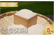 【令和7年新米】お米 コシヒカリ 熊野市育生町 恥ずかしがり屋のおじいちゃんが作った 自慢のお米 5kg 米 こめ 白米 こしひかり 精米【ligh0012】
