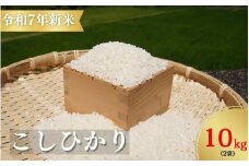 【令和7年新米】お米 コシヒカリ 熊野市育生町 恥ずかしがり屋のおじいちゃんが作った 自慢のお米 10kg 米 こめ 白米 こしひかり 精米【ligh0013】