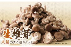 椎茸大量てんこ盛りセット【1201273】