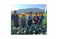 陽光ビオファームの「体が喜ぶ」7種の野菜セット(冬季)【1201506】