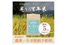 令和6年産 実りの百年米(栽培期間中　農薬・化学肥料不使用) 精米5kg【1452850】