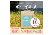 令和6年産 実りの百年米(栽培期間中　農薬・化学肥料不使用) 精米10kg【1452833】