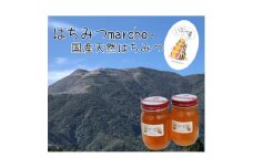 いなべの天然はちみつ瓶600g2本セット【1176563】