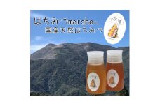 いなべの天然はちみつボトル300g×2本セット【1176564】