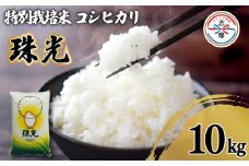 令和6年産 コシヒカリ 10kg 特別栽培米 「珠光」 ブランド米 国産 新米 米 白米 精米 コシヒカリ お米 10kg ご飯 朝食 昼食 夕食 お取り寄せ 伊勢 志摩 三重県 21000円 二万千円