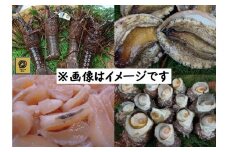 【300-02】四季のたより*