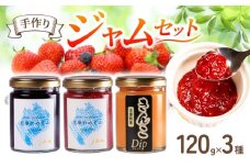 ジャム 3種 セット 120g×３個 いちご ブルーベリー きんこ 詰め合わせ フルーツ 果物 苺 ストロベリー レッドパール 芋 トースト パン 朝食 朝ご飯 贈り物 プレゼント ギフト 手作り 三重 伊勢志摩 志摩市 志摩のめぐみジャムセット 5000円 5千円 五千円