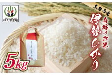 伊勢ひかり 5kg お米 白米 精米 米 おすすめ 国産 朝ごはん 朝食 晩ごはん ご飯 夕食 三重県 志摩市 伊勢 志摩 17000円 1万7000円 一万七千円 伊勢奉祝 奇跡のお米 イセヒカリ 5キロ