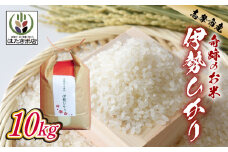 伊勢ひかり 10kg お米 白米 精米 米 おすすめ 国産 朝ごはん 朝食 晩ごはん ご飯 夕食 三重県 志摩市 伊勢 志摩 30000円 三万円 3万円 伊勢奉祝 奇跡のお米 10キロ