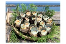 サザエ 2kg 入り 新鮮 海鮮 海産物 魚介 魚貝 サザエ 栄螺 貝 刺身 刺し身 お造り つぼ焼き グリル BBQ バーベキュー キャンプ 夏 ギフト 贈り物 志摩産 特選 三重 志摩 伊勢志摩 20000円 2万円 二万円
