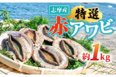 【9月15日まで】 天然 アワビ 1kg 赤アワビ 志摩産 冷蔵 新鮮 鮑 伊勢 志摩市 海鮮 魚介 海産物 国産 旬 貝 活 刺身 刺し身 お刺身 限定 夏 バーベキュー BBQ 三重県 伊勢志摩 伊勢志摩 期間限定 夏季 夏 お中元 お取り寄せ グルメ 人気