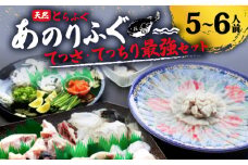 とらふぐ 5～6人前 てっさ てっちり 期間限定 セット 天然 あのりふぐ 2匹 冷蔵 ふぐ刺身 河豚刺し 鍋 刺身 刺し身 ふるさと納税ふぐ ふるさと納税とらふぐ 鮮魚 海鮮 魚介 冬 三重 伊勢志摩 志摩市