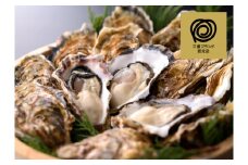 清浄 的矢かき むき身 500g 木箱入 / かき 牡蠣 生牡蠣 剥き身 ブランド 的矢牡蠣 生食 生食用 三重県 伊勢 志摩 志摩市 的矢 牡蠣専門店 養殖場 直送 新鮮 牡蠣料理 年末年始 お正月 お歳暮 贈答 魚貝類 魚貝 いせ しま まとや 2万3千円 23000円 二万三千円 佐藤養殖場 