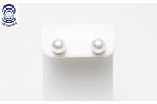 【070-22】三重ブランド　アコヤ真珠　6.5ﾐﾘ　ピアス
