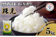 令和6年産 コシヒカリ 5kg 特別栽培米 「珠光」 ブランド米 国産 新米 米 白米 精米 コシヒカリ お米 5kg ご飯 朝食 昼食 夕食 伊勢 志摩 三重県 12000円 一万二千円