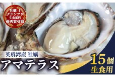英虞湾産 シングルシードオイスター  「アマテラス」 15個  ／ 牡蠣 カキ 生牡蠣 オイスター 生食 殻付き ナイフ付き 産地直送 海鮮 海産物 魚貝類 新鮮 シングルシード 伊勢 志摩 三重県 10000円 1万円 一万円