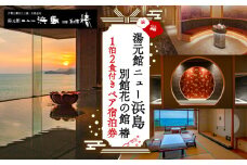 湯元館ニュー浜島 １泊２食付き ペア 宿泊券 東海 近畿 三重県 志摩 伊勢志摩 ふるさと納税旅行 旅行 旅 旅館 宿泊 宿 チケット 食事 １泊２食  夕日 温泉 湯 大浴場 露天風呂 和室 家族 友人  20万円 二十万 200000円 