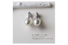 真珠 7.5～8mm イヤリング アクセサリー パール シルバー 伊勢志摩 志摩 ギフト アコヤ真珠 母の日 ホワイトデー クリスマス 入学式 卒業式 成人式 結婚式 / 志摩産 あこや真珠 7.5-8.0ｍｍ 耳が痛くなりにくいイヤリング 