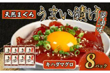 訳あり わけあり 漬け丼 8パック 天然まぐろ 鮪 マグロ キハダマグロ 黄肌鮪 漬け 醤油 海鮮 国産 冷凍 小分け 簡単 お手軽 惣菜 おかず おつまみ お茶漬け 丼 うまい漬け 三重県 伊勢 志摩 10000円 1万円 一万円