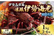 伊勢海老 1kg 3尾 ～ 6尾 冷凍 / 伊勢志摩 伊勢 志摩 三重 伊勢えび 伊勢エビ 新鮮 えび エビ 三重ブランド認定 高級食材 贈答 贈答品 お歳暮 お正月 年末年始 お造り 海鮮 魚介類 旨味 鮮魚 名産 ギフト いせ しま BBQ パーティー 焼き物 お味噌汁 鍋 ボイル 六万円 6万円 60000円 