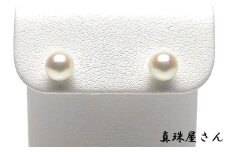 真珠屋さん アコヤ本真珠 ホワイトピンク 5.0～5.5ミリ 高品質 Pt900 ピアス / 真珠 アクセサリー パール プラチナ ジュエリー 三重県 伊勢志摩 志摩市 冠婚葬祭 普段使い