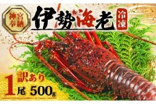 【年内配送・ダンボール入】訳あり 伊勢海老 約500g × 1尾 冷凍 数量限定 期間限定 伊勢海老 伊勢エビ 伊勢 海老 エビ イセエビ 刺身 焼き物 お味噌汁 鍋 ボイル エビフライ アレンジ可 職人厳選 新鮮 海鮮 ギフト 贈答 急速冷凍 三重県 志摩市