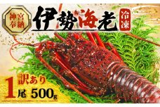 【年内配送・ダンボール入】訳あり 伊勢海老 約500g × 1尾 冷凍 数量限定 期間限定 伊勢海老 伊勢エビ 伊勢 海老 エビ イセエビ 刺身 焼き物 お味噌汁 鍋 ボイル エビフライ アレンジ可 職人厳選 新鮮 海鮮 ギフト 贈答 急速冷凍 三重県 志摩市