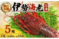 【順次発送・ダンボール入】 伊勢海老 約300g~350g × 5尾 冷凍 数量限定 期間限定 伊勢海老 伊勢エビ 伊勢 海老 エビ イセエビ 刺身 焼き物 お味噌汁 鍋 ボイル エビフライ アレンジ可 職人厳選 新鮮 海鮮 ギフト 贈答 急速冷凍 三重県 志摩市