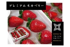 伊賀忍者いちご プレミアムモカベリー 2パックセット（約270g×2）