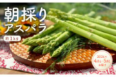 【先行受付】朝採りアスパラガス（約1kg）／2026年4月上旬～5月中旬お届け