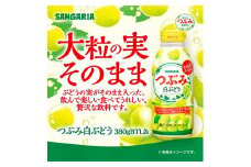 サンガリア つぶみ白ぶどう 380g×24本