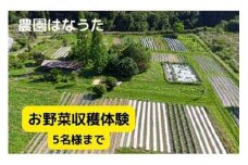 農園はなうた お野菜収穫体験券 5名様まで