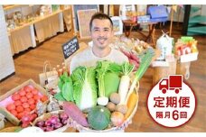 忍びの国の野菜セット（12品以上）隔月6回お届け