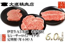 【年6回】伊賀牛 A5ヒレ・サーロイン・イチボ 定期便A 総合計約6.0kg