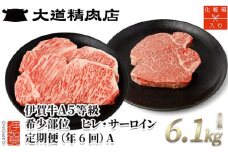 【年6回】伊賀牛 A5ヒレ・サーロイン 定期便A 総合計約6.1kg