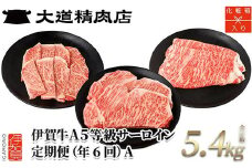【年6回】伊賀牛 A5サーロイン 定期便コースA 総合計約5.4kg