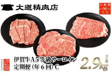 【年6回】伊賀牛 A5サーロイン 定期便コースC 総合計約2.9kg