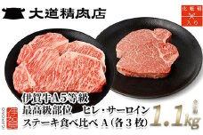 伊賀牛 A5ヒレ・サーロイン 食べ比べステーキセットA 総合計約1.1kg【最高級部位】