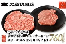 伊賀牛 A5ヒレ・サーロイン 食べ比べステーキセットB 総合計約760g【最高級部位】