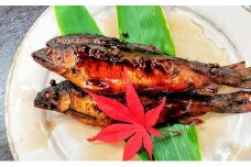 【日本料理屋・四季の里まつもと】（4尾入）伊賀の香り 子持ち鮎の甘露煮