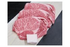 伊賀牛 ロースすき焼き用 1kg（500g入り×2）