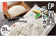 令和6年産 伊賀米コシヒカリ 20kg（5kg×4）
